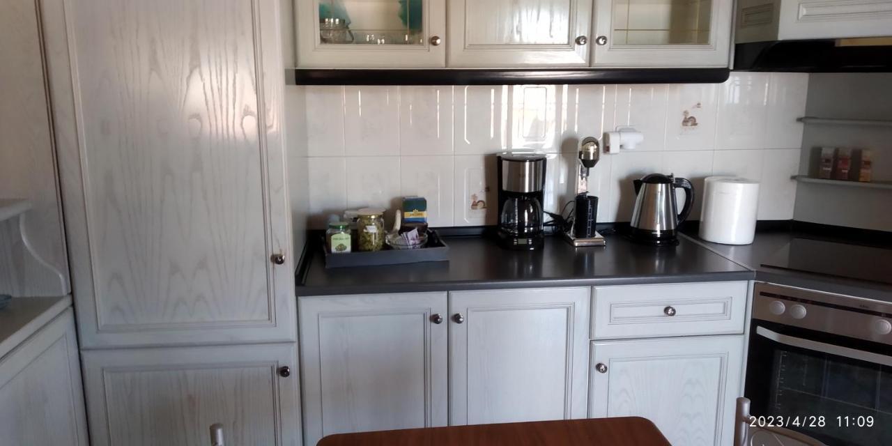 Toula Apartment Litóchoron Buitenkant foto